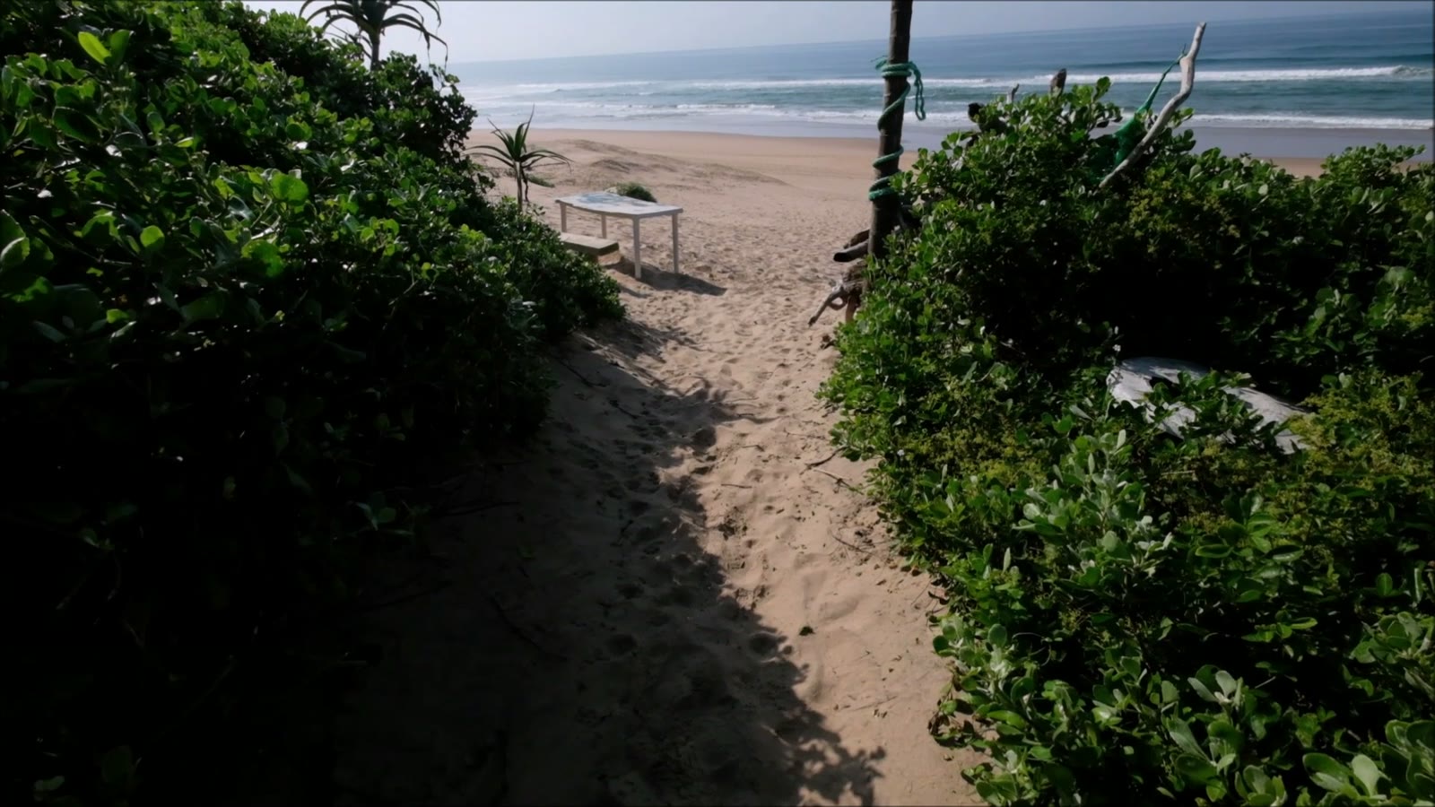 Sandy path through the coastal bush to the beach