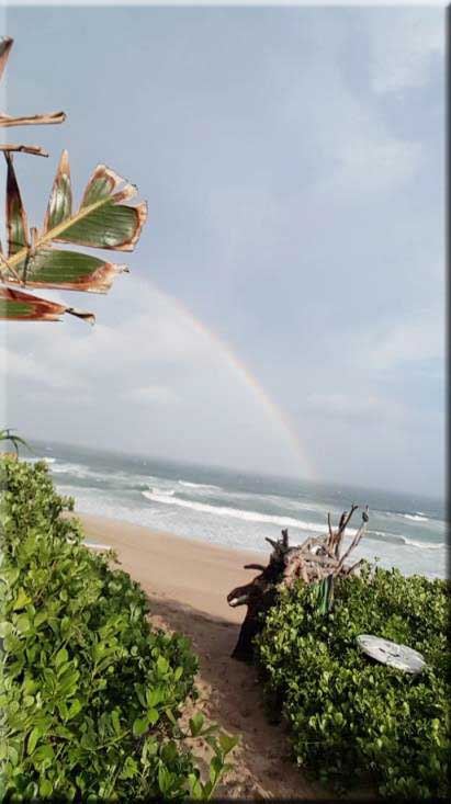 The path to the beach after rain, with a rainbow